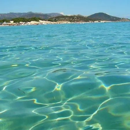 Su Pasiu Chia